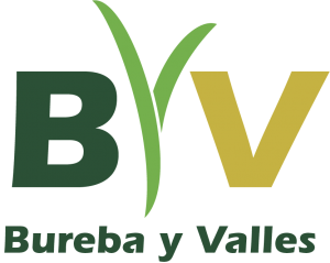 bureba_valles_logo_color